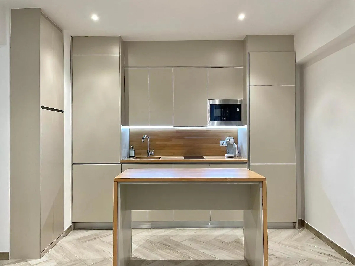 Loft Marbella Centro Apartment