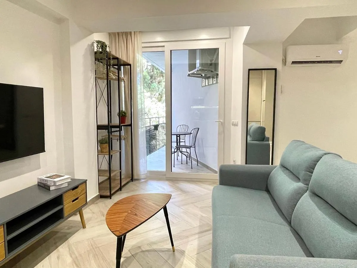 Loft Marbella Centro Apartment